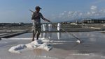 Gegara  El Nino, Harga Garam Turun