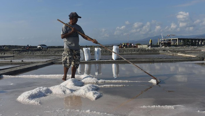 Petani memanen garam di kawasan penggaraman talise di Palu, Sulawesi Tengah, Minggu (1/10/2023). Harga garam di tempat tersebut turun dari Rp200 ribu menjadi Rp60 ribu per karung untuk garam pupuk dan Rp400 ribu menjadi Rp250 ribu per karung untuk garam konsumsi dan menurut petani penurunan harga tersebut dipicu sejumlah hal diantaranya melimpahnya produksi akibat Fenomena El Nino. ANTARA FOTO/Mohamad Hamzah/nz.