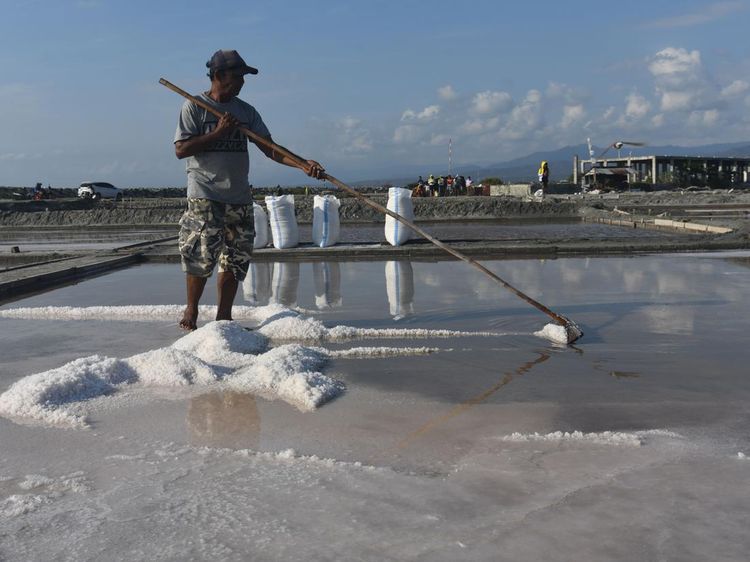 Gegara  El Nino, Harga Garam Turun