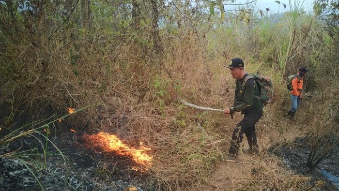 Hutan Bukit Kencur dan Sigiran di Mojokerto Terbakar, Jalur Pendakian Ditutup