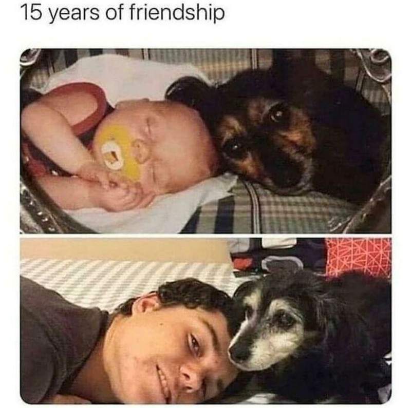 Jepretan Mengulang Adegan Masa Silam Penuh Kenangan