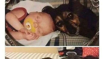 Tumbuh bersama selama 15 tahun. Foto: Boredpanda