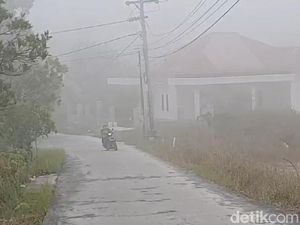 Kabut Asap yang Menyelimuti Pekanbaru Kiriman dari Sumsel dan Jambi