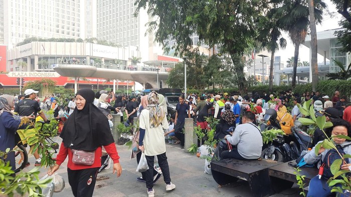 Kurangi Polusi, 30 Ribu Pohon Dibagikan Gratis di CFD Sudirman-Thamrin (Annisa/detikcom)