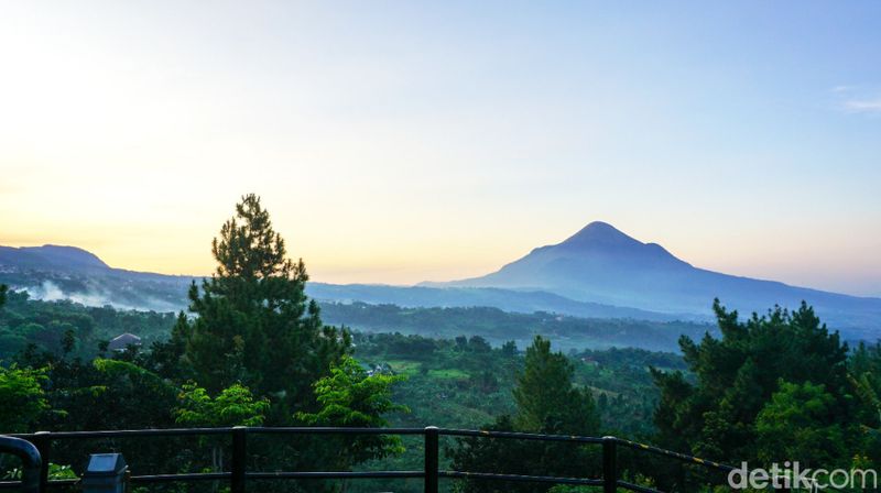 Ngopibareng Pintulangit, lokasi konser Happy Asmara