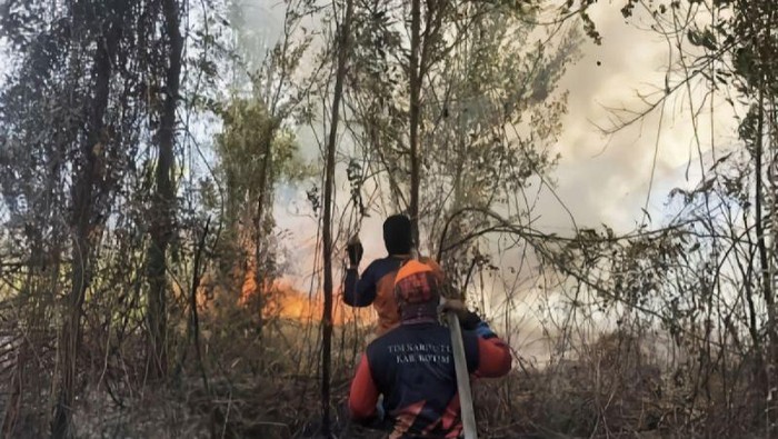 Petugas saat memadamkan kebakaran lahan di Jalan MT Haryono Barat Kecamatan Mentawa Baru Ketapang, Jumat (22/9/2023) lalu. (ANTARA/HO-BPBD Kotim)