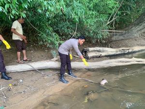 Polisi Ungkap Mayat Bayi di Sungai Lamandau Kalteng Dilahirkan di Jamban