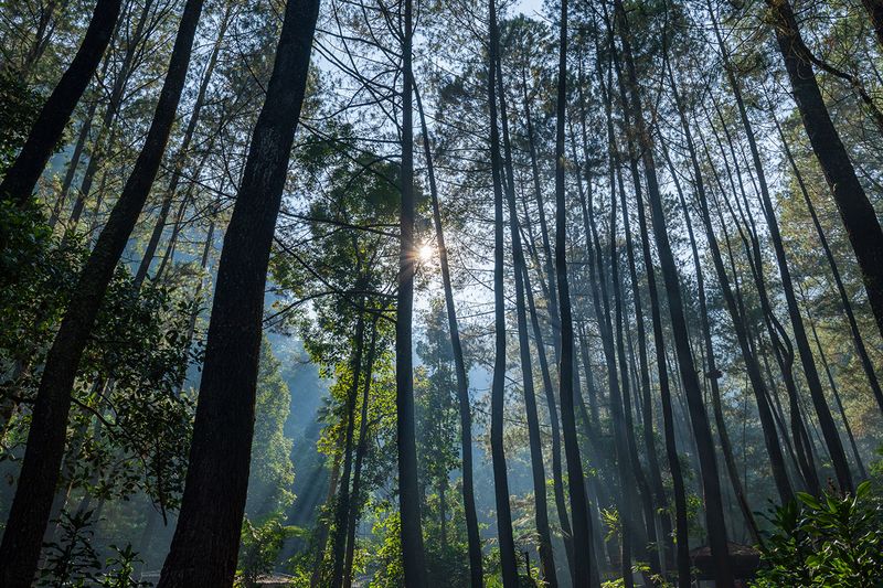 Review Lensa Sony FE 16-35mm f/4G PZ