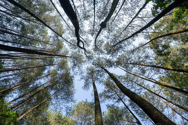 Review Lensa Sony FE 16-35mm f/4G PZ
