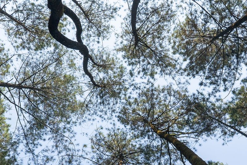 Review Lensa Sony FE 16-35mm f/4G PZ