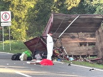 10 Migran Kuba Tewas dalam Kecelakaan Truk di Meksiko