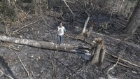 Menurut badan perlindung sipil Brasil, kekeringan diperkirakan berlangsung lebih lama dan intens akibat fenomena cuaca El Nino, yang menghambat pembentukan awan hujan. AP/Gleilson Miranda  