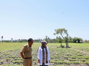 Bupati Ipuk Instruksikan Kecukupan Air Irigasi saat El Nino Belum Berakhir