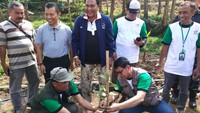 Profesor Abdullah Puteh anggota Presidum MN KAHMI dalam sambutannya mengatakan, penanaman sejuta pohon ini untuk memberikan pesan moral kepada masyarakat mengenai pentingnya penghijauan lingkungan hidup.   