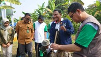 Majelis Nasional (MN) Korps Alumni Himpunan Mahasiswa Islam (KAHMI) dan forum Alumni HMI – Wati (FORHATI) Nasional menggelar kegiatan penanaman sejuta pohon di Desa Gunung Sari, Kecamatan Pamijahan Kabupaten Bogor, Jawa Barat dalam rangka peringatan HUT KAHMI ke-57.  