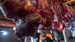 Harga Daging Sapi Tembus Rp 192 Ribu/Kg!