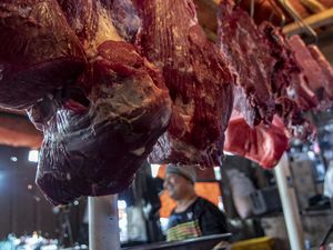 Izin Impor Daging Sapi 100 Ribu Ton Mandek, Pengusaha Gelisah