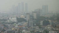 Adapun polutan utamanya berjenis Particulate Matter (PM) 2.5, yaitu partikel berukuran 2,5 mikron atau kurang, seperti debu, asap pembakaran motor, asap industri, hingga asap pembangkit listrik batu bara. Konsentrasi PM 2.5 di Jakarta saat ini 15,6 kali dari nilai panduan kualitas udara tahunan WHO. 