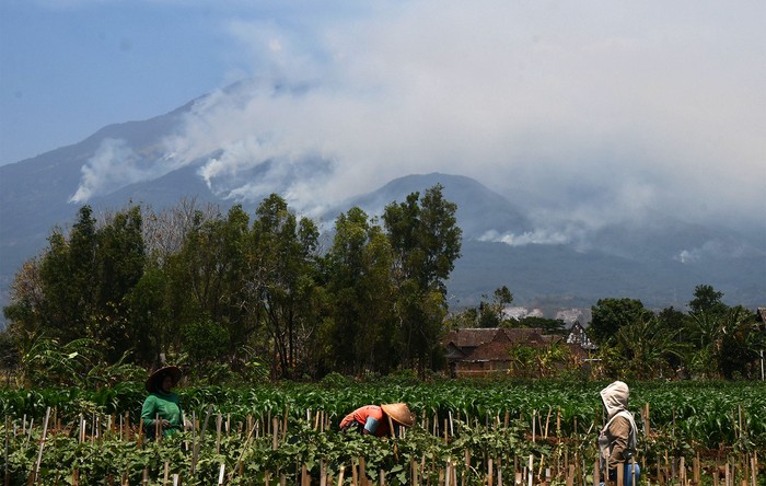Asap mengepul dari lokasi kebakaran hutan Gunung Lawu terlihat dari Karanggubito, Kendal, Ngawi, Jawa Timur, Senin (2/10/2023). Kebakaran kawasan hutan Gunung Lawu yang terjadi sejak Jumat (29/9) hingga Senin (2/10) belum bisa dipadamkan dan semakin meluas hingga membakar lebih dari 150 hektare areal hutan yang terbakar. ANTARA FOTO/Siswowidodo