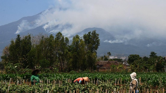 Asap mengepul dari lokasi kebakaran hutan Gunung Lawu terlihat dari Karanggubito, Kendal, Ngawi, Jawa Timur, Senin (2/10/2023). Kebakaran kawasan hutan Gunung Lawu yang terjadi sejak Jumat (29/9) hingga Senin (2/10) belum bisa dipadamkan dan semakin meluas hingga membakar lebih dari 150 hektare areal hutan yang terbakar. ANTARA FOTO/Siswowidodo