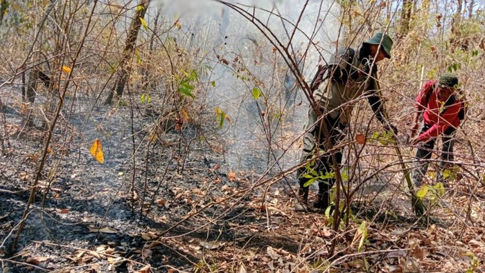upaya pemadaman tn baluran yang terbakar