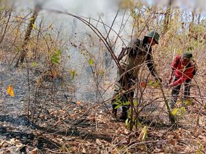 TN Baluran Kembali Dibuka, Petugas Perketat Pengawasan Pengunjung