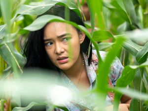 Denny Siregar Bikin Kupu Kupu Kertas, Amanda Manopo Jadi Bintang Utama
