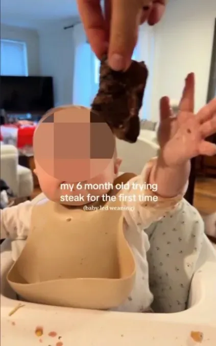 Bayi 6 bulan dikasih makan steak