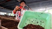 Usaha budi daya cacing tanah untuk kebutuhan pakan burung maupun ikan yang dimulai tahun 2017 lalu dalam sebulan bisa memanen 1,5 ton cacing dengan harga Rp 50 ribu per kilogram sedangkan tanah bekas kotoran cacing Rp 20 per sak dimanfaatkan untuk pupuk organik.  