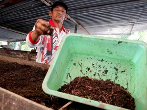 Pengertian Dekomposer, Fungsi, dan Jenisnya