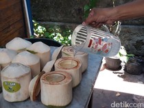 Seger! Warga Boyolali Raup Cuan dari Produksi Degan Jelly