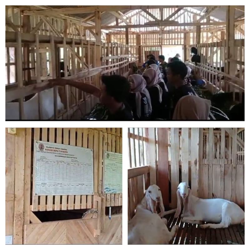 Edu wisata ternak kambing yang digagas Koptu Irpan