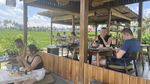 Potret Kafe Instagramable di Bali, Ngopi Sambil Lihat Sawah Asri