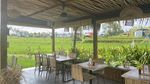 Potret Kafe Instagramable di Bali, Ngopi Sambil Lihat Sawah Asri
