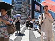 Rekor! Februari 2024 Jadi Februari Terpanas Sepanjang Sejarah, Ini Penyebabnya