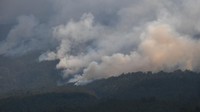 Asap mengepul dari lokasi kebakaran hutan Gunung Lawu terlihat dari Karanggubito, Kendal, Ngawi, Jawa Timur, Senin (2/10/2023). Menurut data di Posko Penanganan Darurat Karhutla Gunung Lawu 2023 luas keseluruhan hutan dan lahan yang terbakar di Gunung Lawu sejak 30 Agustus hingga Senin (2/10) sore mencapai 1.100 hektare, dan dari luas tersebut yang terbakar sejak Jumat (29/9) seluas 400 hektare.  