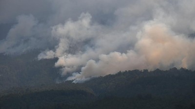 Kebakaran Hutan Gunung Lawu Capai 1.100 Hektare