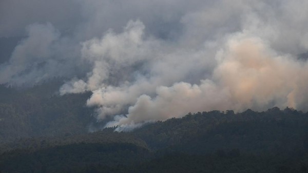 Kebakaran Hutan Gunung Lawu Capai 1.100 Hektare