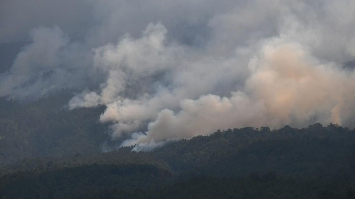 Sejumlalh pejabat daerah mengamati titik api pada peta Gunung Lawu di Posko Penanganan Darurat Karhutla Gunung Lawu 2023 di Ngrayudan, Kendal, Ngawi Jawa Timur, Senin (2/10/2023). Menurut data di Posko Penanganan Darurat Karhutla Gunung Lawu 2023 luas keseluruhan hutan dan lahan yang terbakar di Gunung Lawu sejak 30 Agustus hingga Senin (2/10) sore mencapai 1.100 hektare, dan dari luas tersebut yang terbakar sejak Jumat (29/9) seluas 400 hektare. ANTARA FOTO/Siswowidodo/hp.