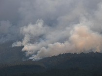 Pemantauan Titik Api Karhutla Terus Dilakukan Pakai Drone