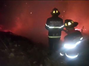 Kebakaran Lahan Ancam Gedung Kebudayaan di Subang