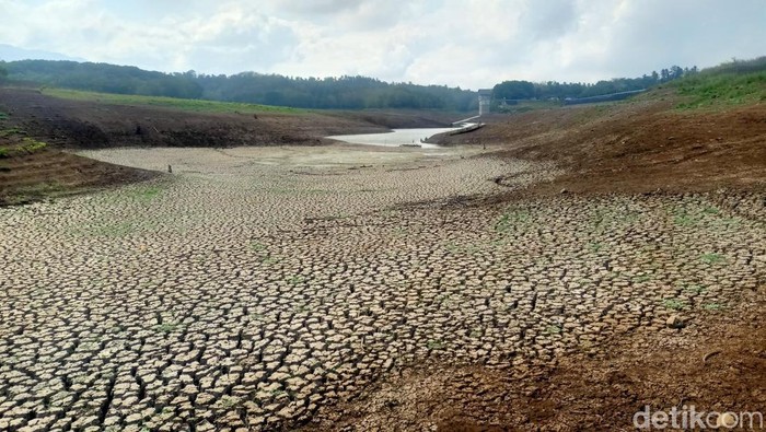 Kondisi Bendungan Palasari di Jembrana, Bali, yang mengering.