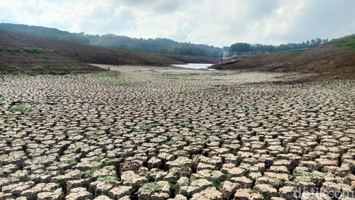 Kondisi Bendungan Palasari di Jembrana, Bali, yang mengering.