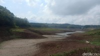 Mengeringnya bendungan itu terjadi setiap tahun di musim kemarau. Kondisi diperparah dengan proses sedimentasi yang menyebabkan bendungan itu semakin dangkal. (Foto: I Putu Adi Budiastrawan/detikBali)