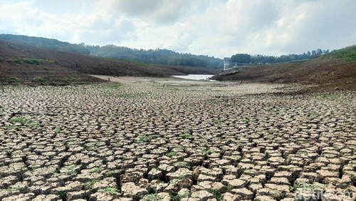 Kondisi terkini Bendungan Palasari di Jembrana, Bali, yang mulai mengering.