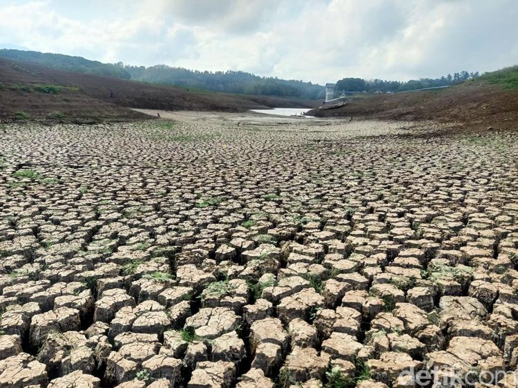 Potret Horor Bendungan Palasari di Jembrana yang Haus karena Kekeringan