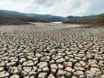 Potret Horor Bendungan Palasari di Jembrana yang Haus karena Kekeringan