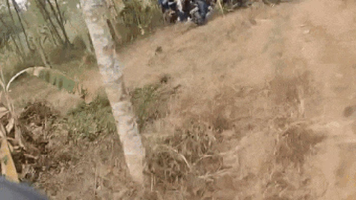 Polisi mengamankan 37 pelajar di sebuah kebun kosong di Depok, Jabar. Puluhan pelajar itu diduga hendak melakukan tawuran. (dok Tim Perintis Presisi Polres Metro Depok)