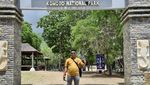 Bertamu ke Rumah Komodo, Si Kadal Purba