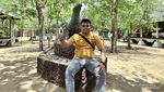 Bertamu ke Rumah Komodo, Si Kadal Purba